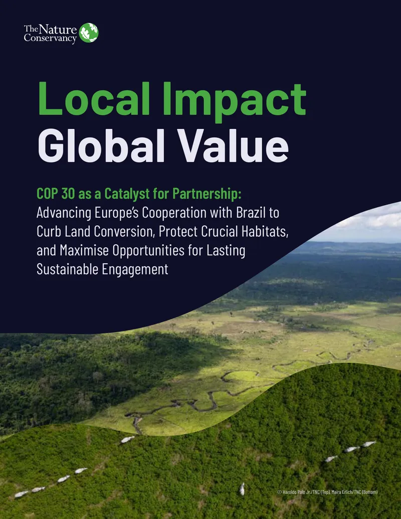 COP 30 and European Cooperation with Brazil preview page 1
