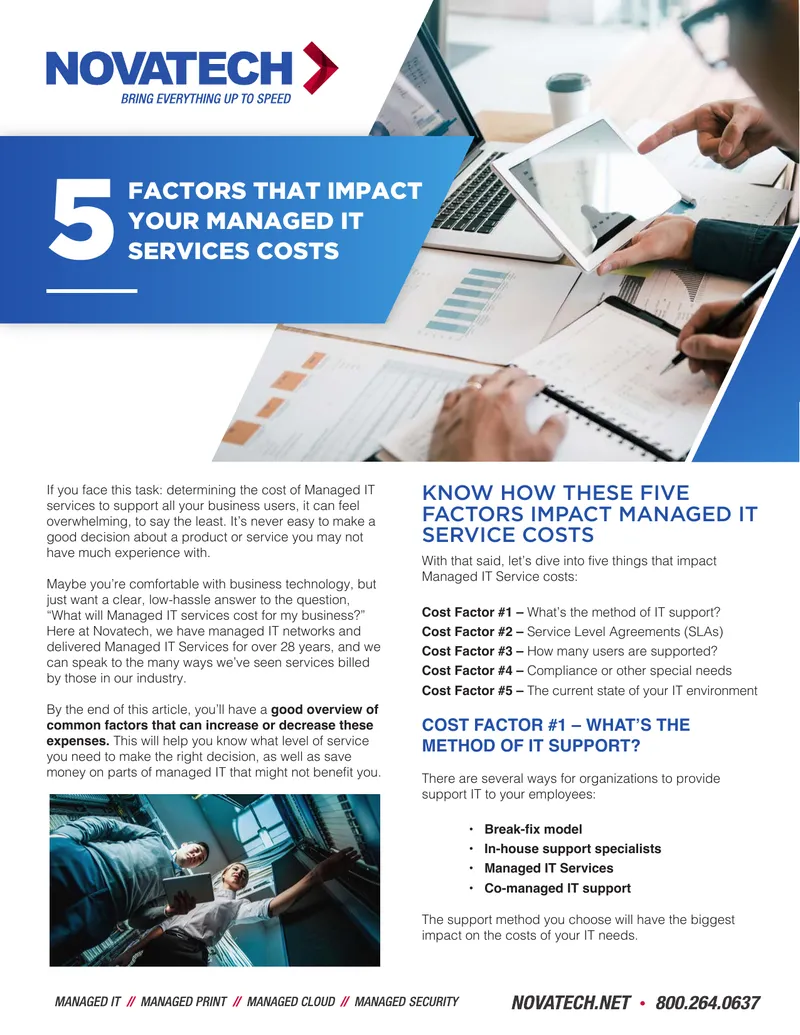 Factors Influencing Managed IT Services Costs preview page 1