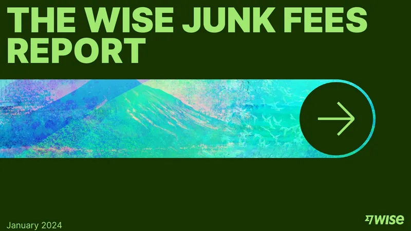 Wise Junk Fees Report January 2024 preview page 1