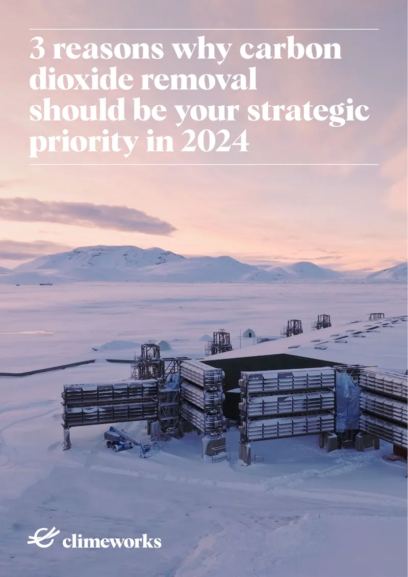 Strategic Importance of Carbon Dioxide Removal in 2024 preview page 1