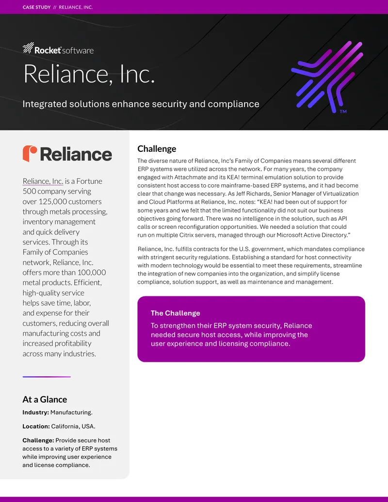Reliance, Inc. ERP System Security Case Study preview page 1