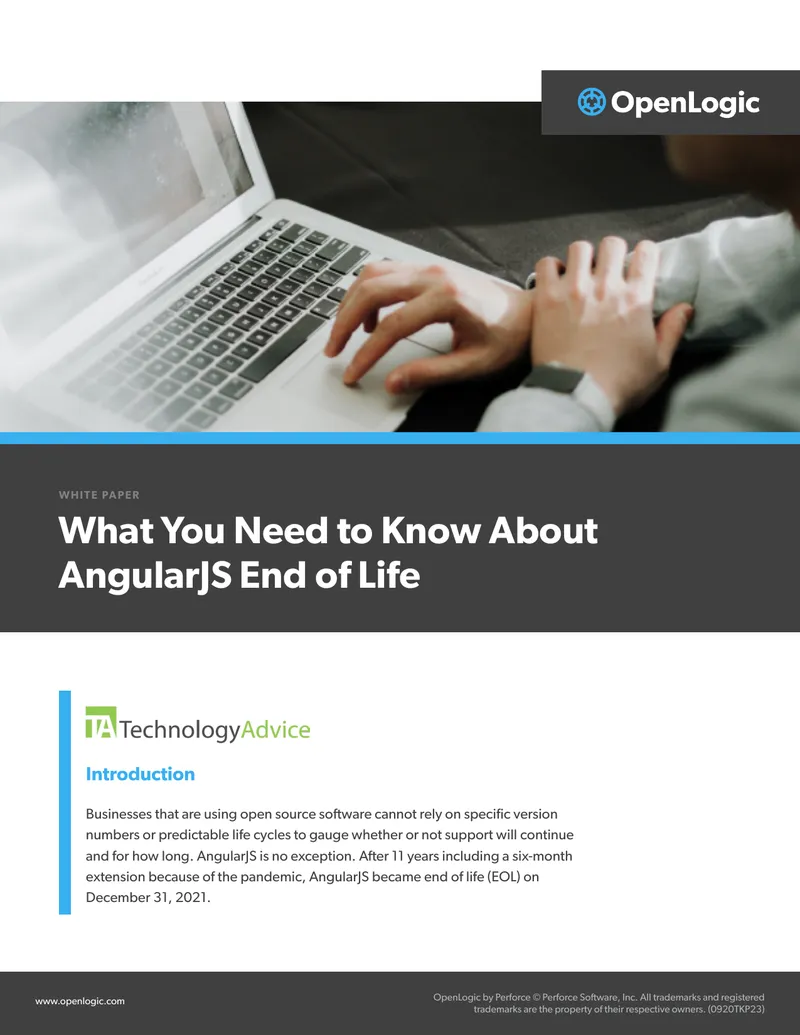 What You Need to Know About AngularJS End of Life preview page 1