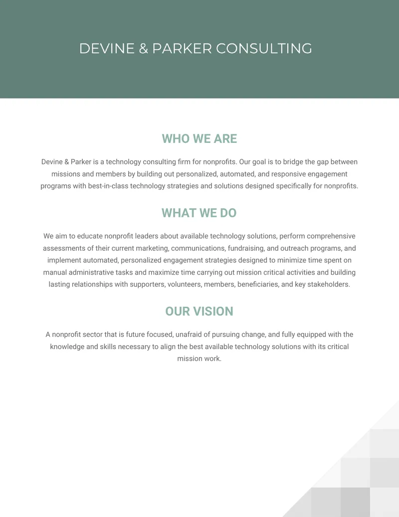 Technology Consulting Services for Nonprofits preview page 1