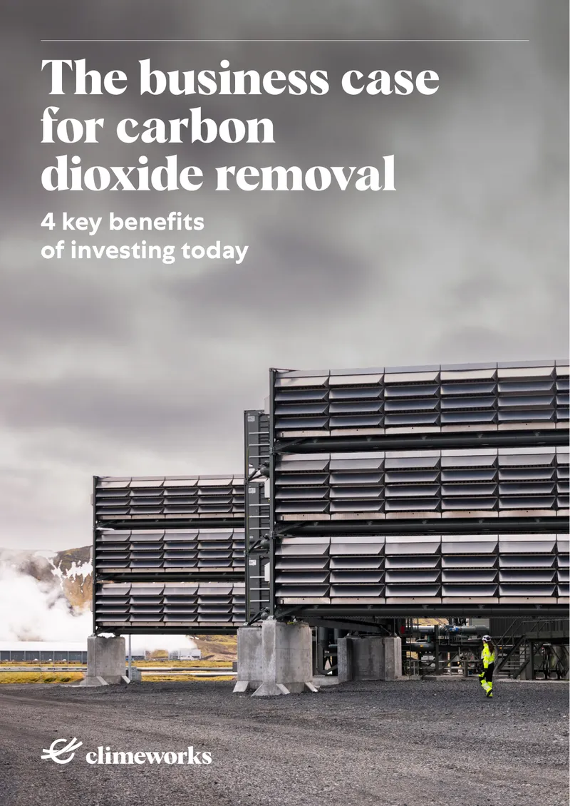 Business Case for Carbon Dioxide Removal Investment preview page 1