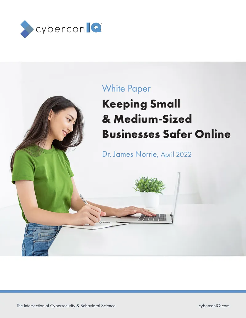 Cybersecurity Strategies for Small Businesses preview page 1
