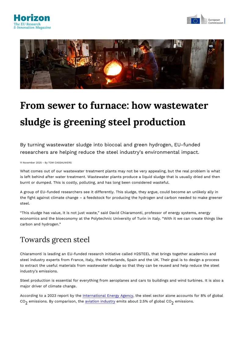 Wastewater Sludge Utilization in Steel Production preview page 1