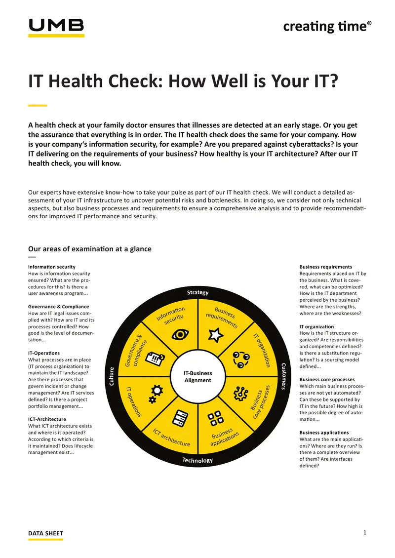 IT Health Check Assessment Framework preview page 1