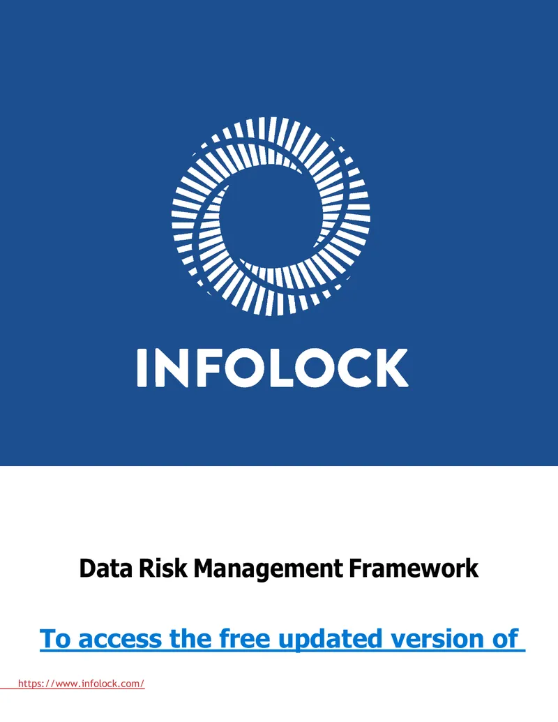 Data Risk Management Framework Overview preview page 1