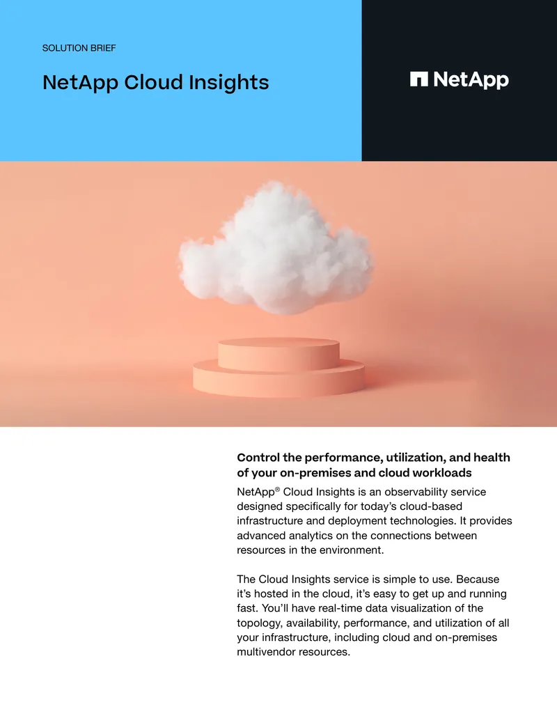 NetApp Cloud Insights Performance Monitoring Solution Brief preview page 1