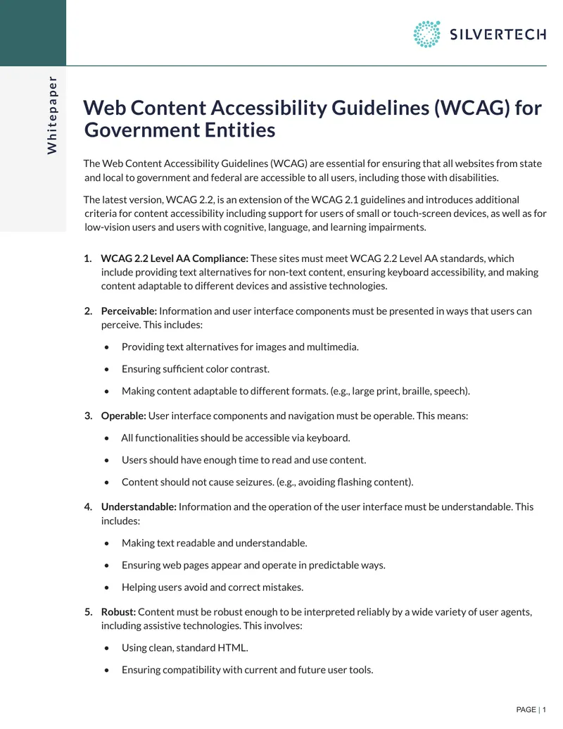 Web Content Accessibility Guidelines for Government Entities preview page 1