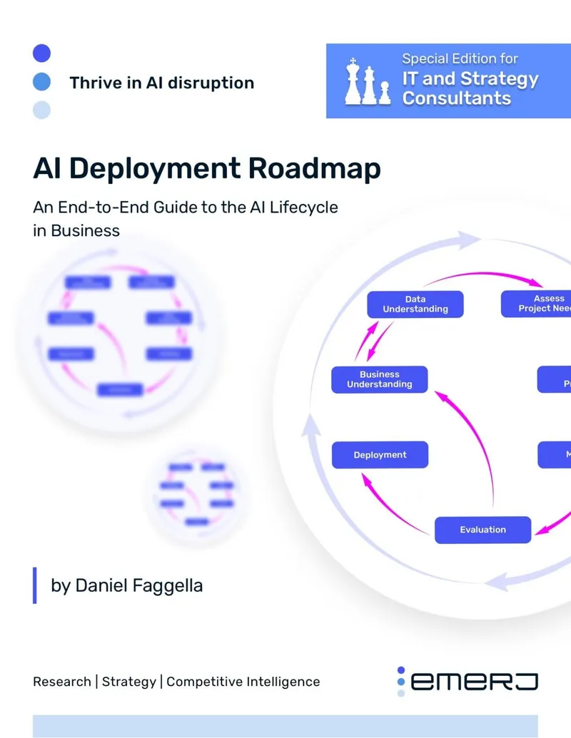 AI Deployment Roadmap for Organizations preview page 1