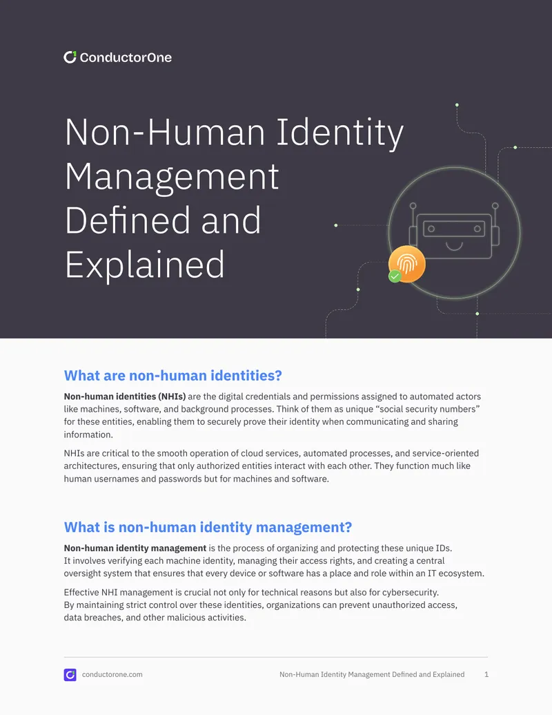 Non-Human Identity Management Overview preview page 1