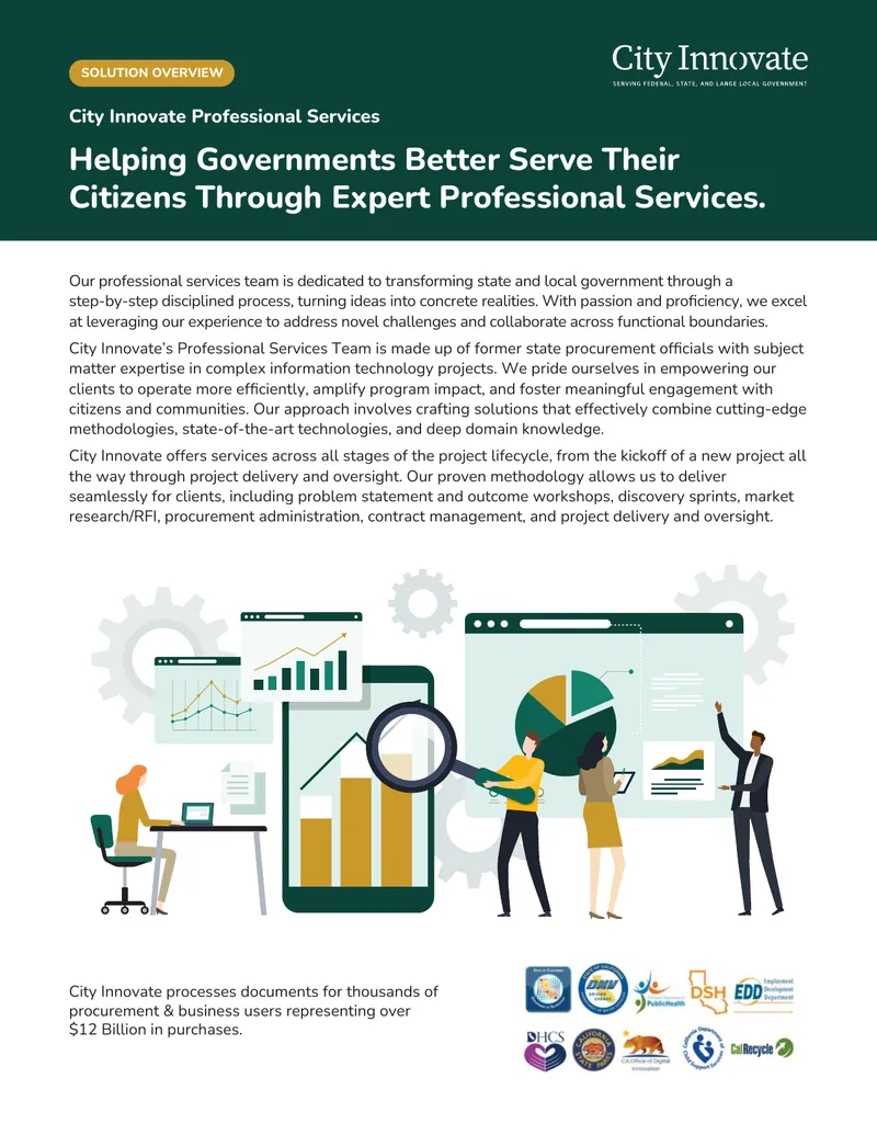 Professional Services for Government Procurement preview page 1