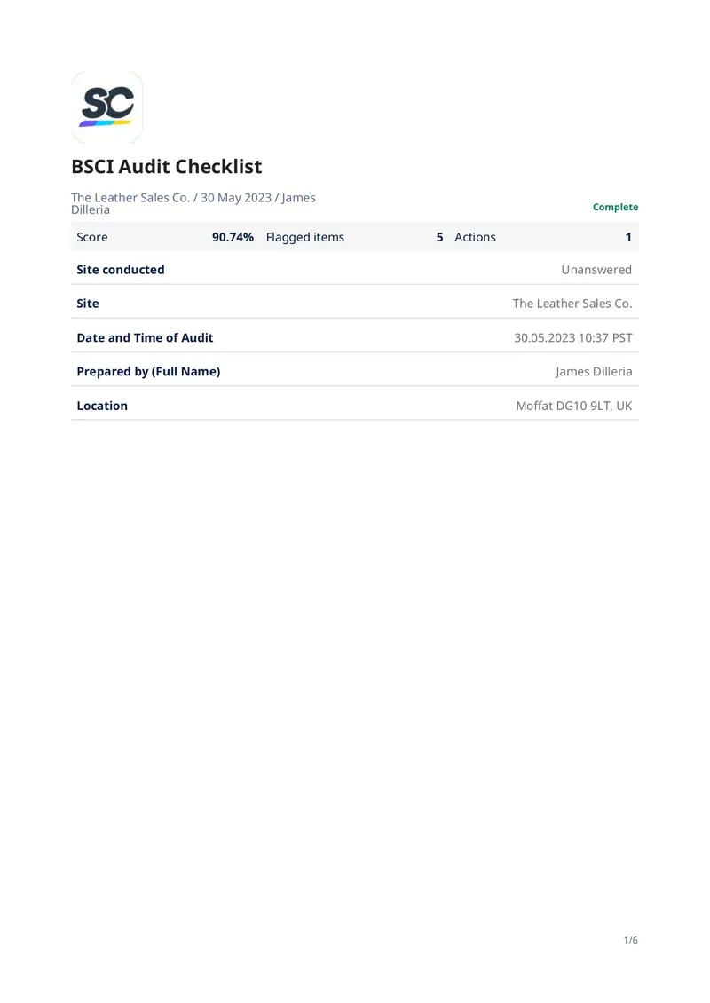 BSCI Audit Checklist for Leather Sales Co preview page 1