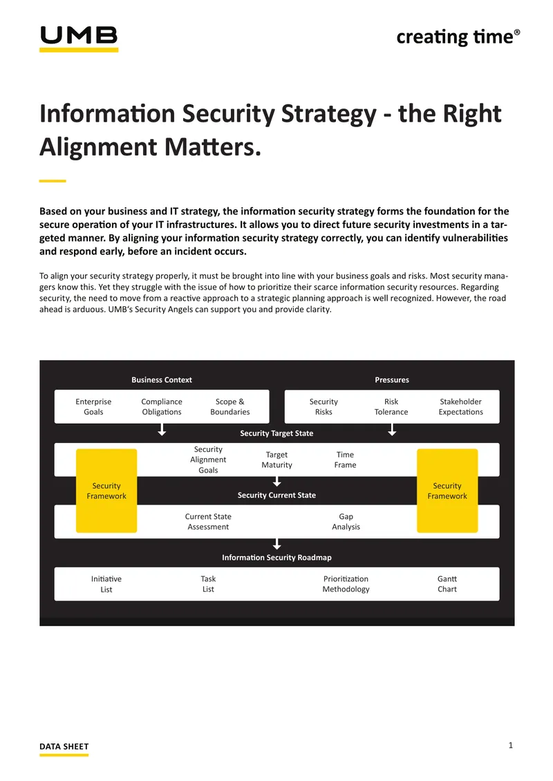 Information Security Strategy Alignment Guide preview page 1