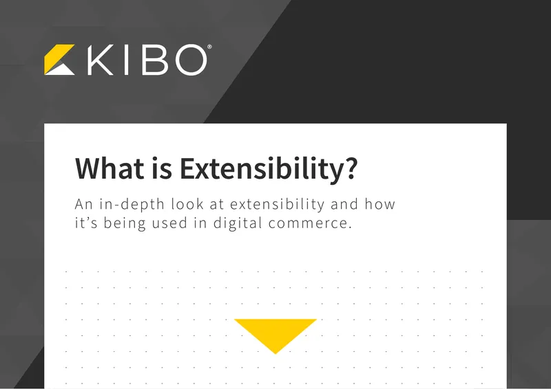 Understanding Extensibility in Digital Commerce preview page 1