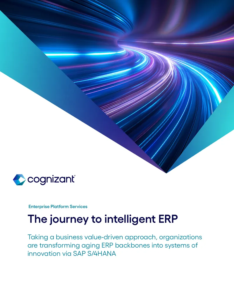 Transforming ERP Systems into Innovation Platforms preview page 1