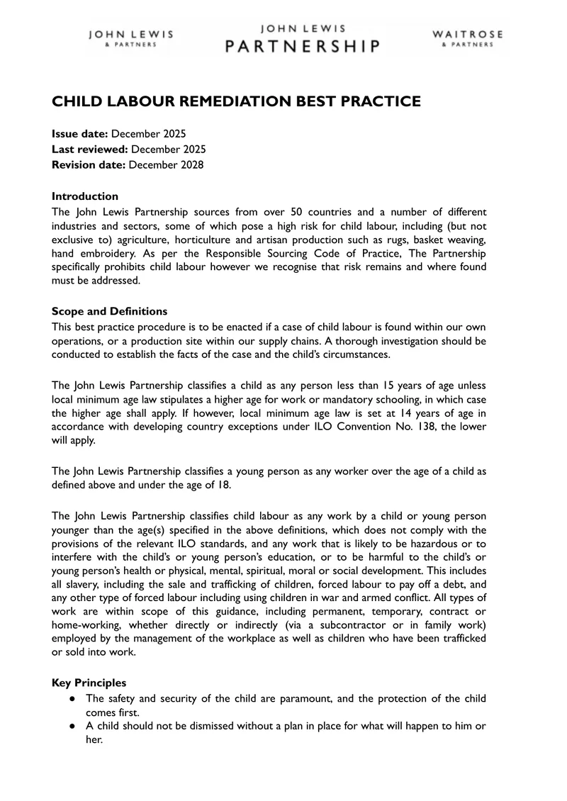Child Labour Remediation Best Practice Guidelines preview page 1