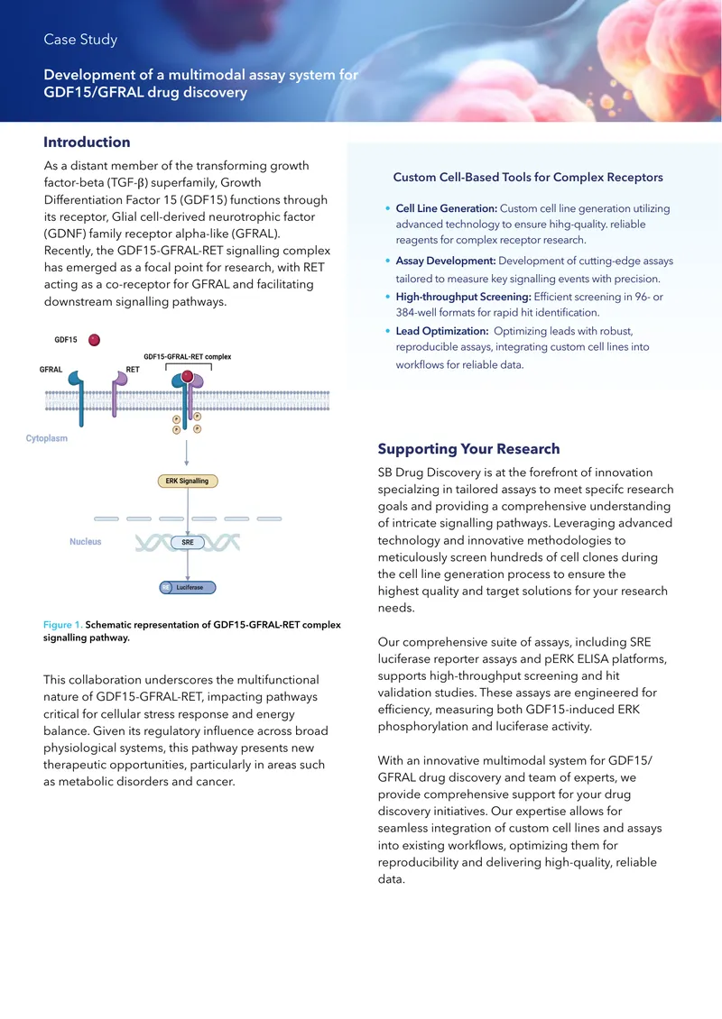 Development of GDF15-GFRAL Drug Discovery Assays preview page 1