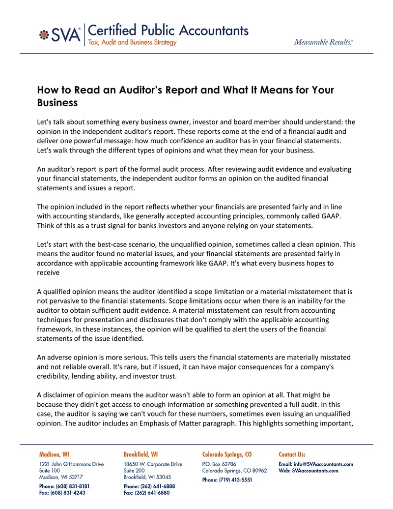 Understanding Auditor's Report Opinions for Businesses preview page 1