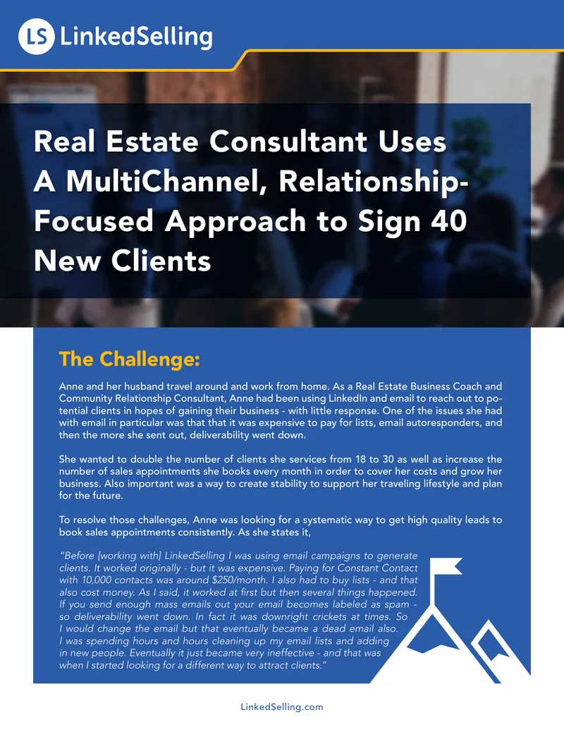 Real Estate Consultant's MultiChannel Client Acquisition Strategy preview page 1